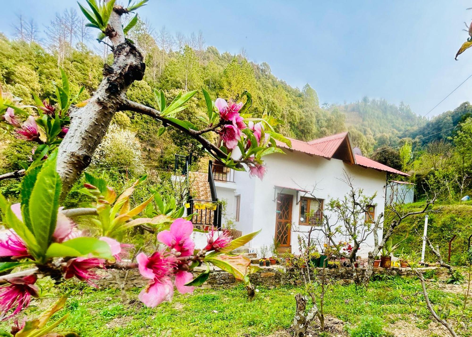 Love'S Farm, Cottage In Ramgarh Εξωτερικό φωτογραφία